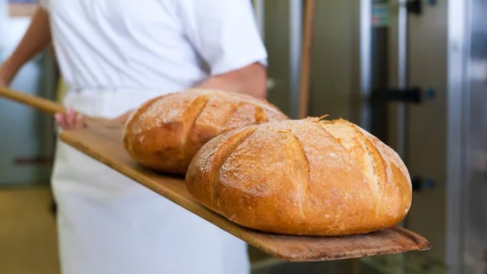 Notícia Relacionada