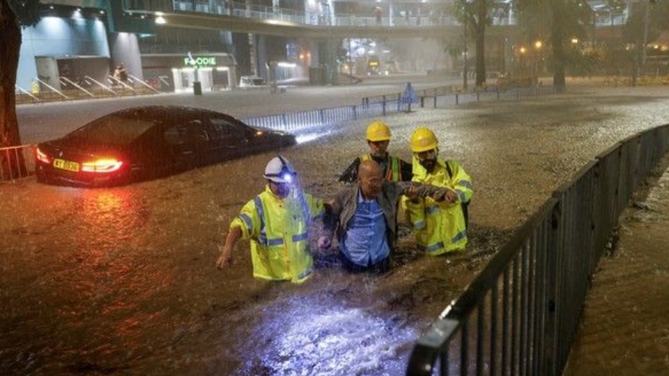 Notícia Relacionada
