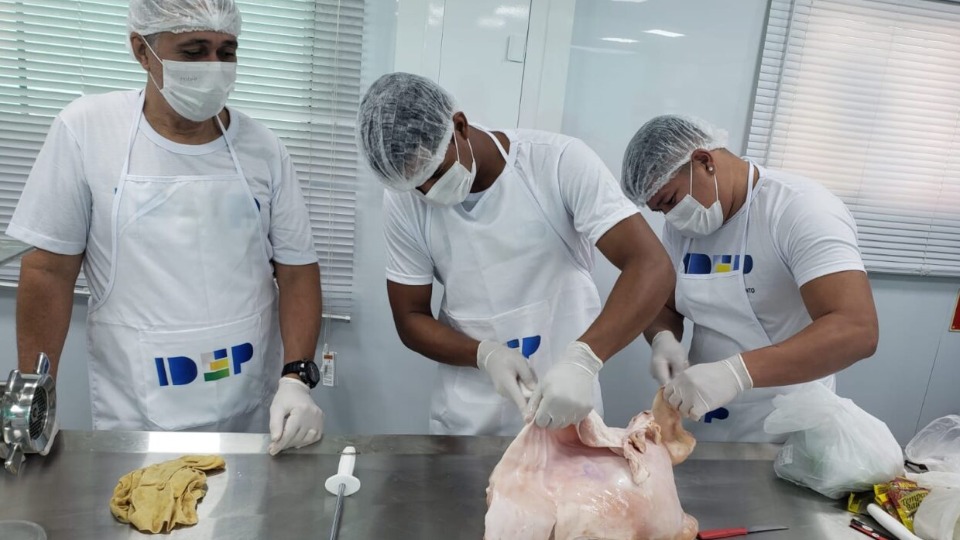 Notícia Relacionada