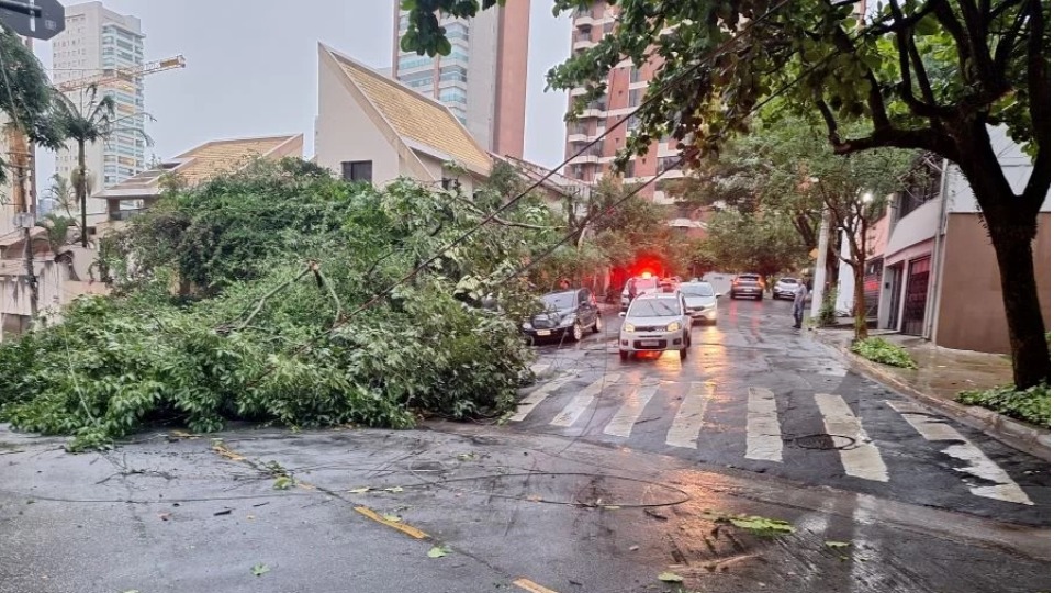 Notícia Relacionada