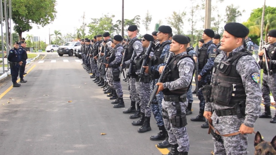 Notícia Relacionada