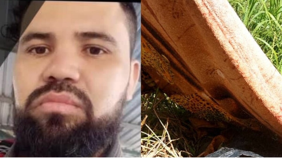 Notícia Relacionada