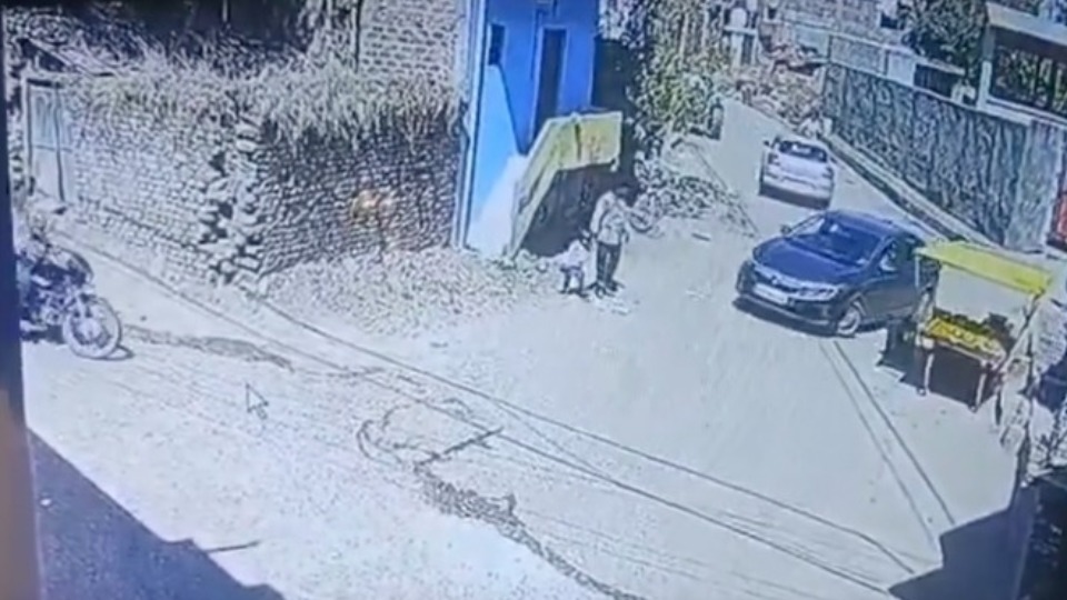 Notícia Relacionada