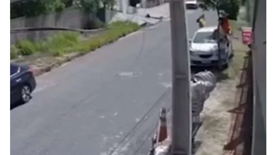 Notícia Relacionada
