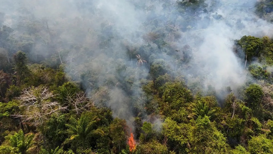 Notícia Relacionada