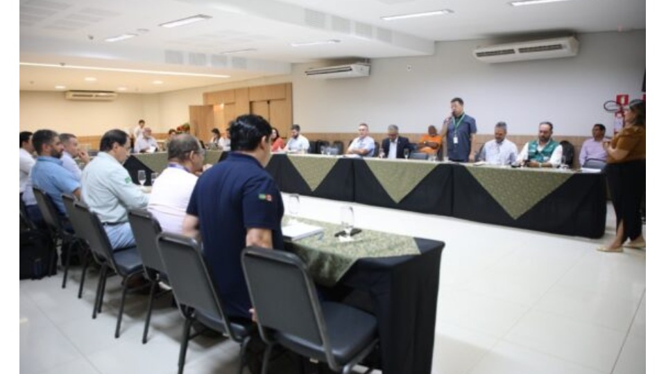 Imagem da Galeria