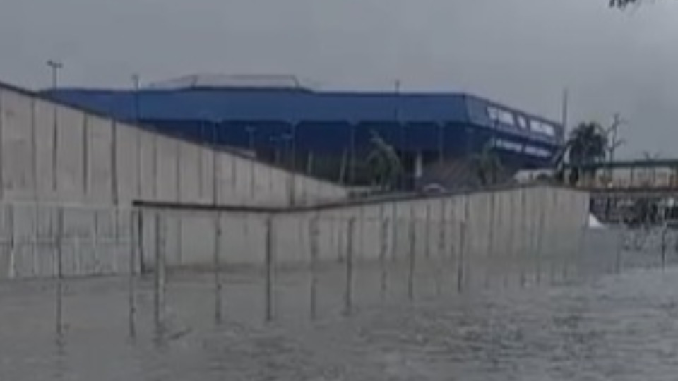 Notícia Relacionada