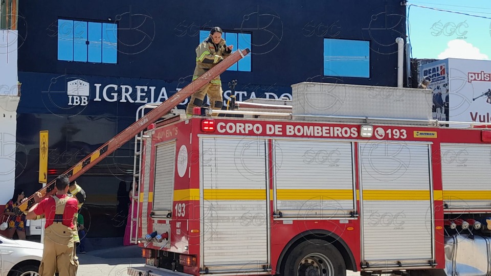 Notícia Relacionada