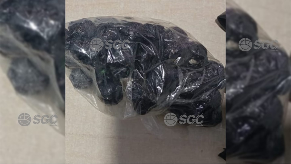 Notícia Relacionada