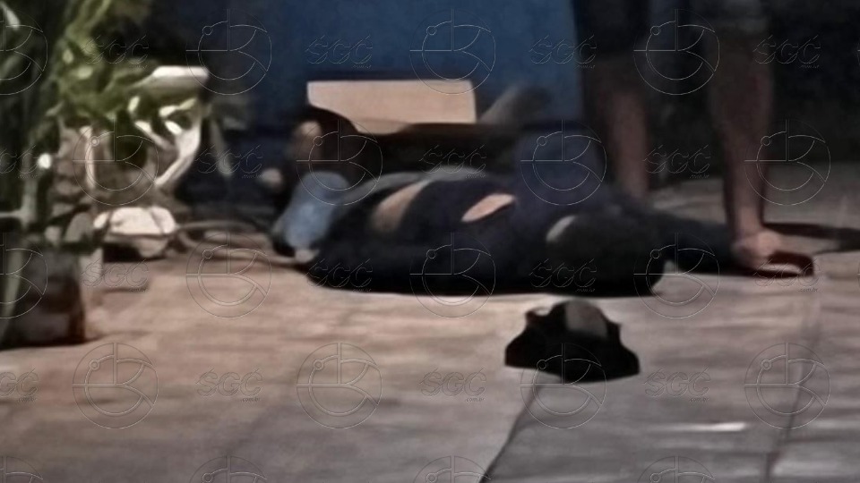 Notícia Relacionada