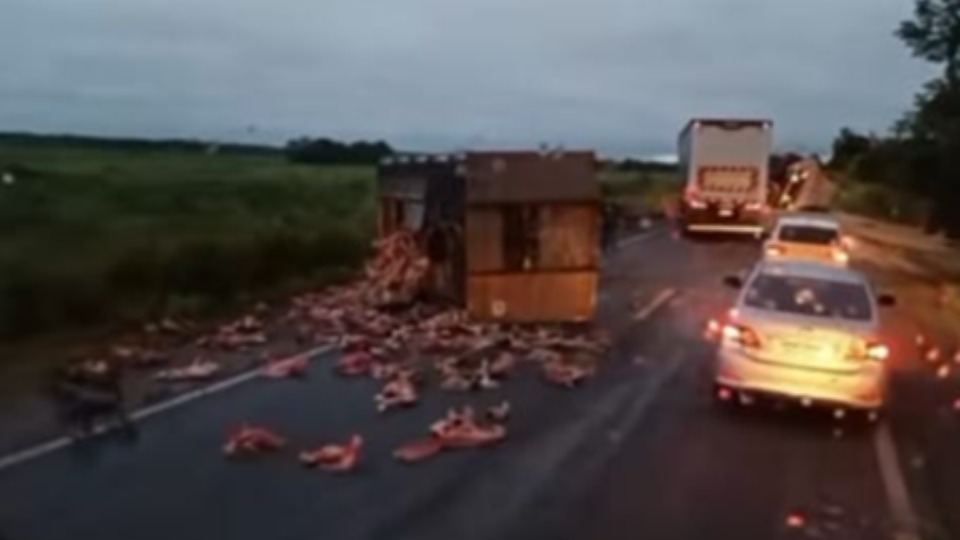 Imagem Últimas Notícias
