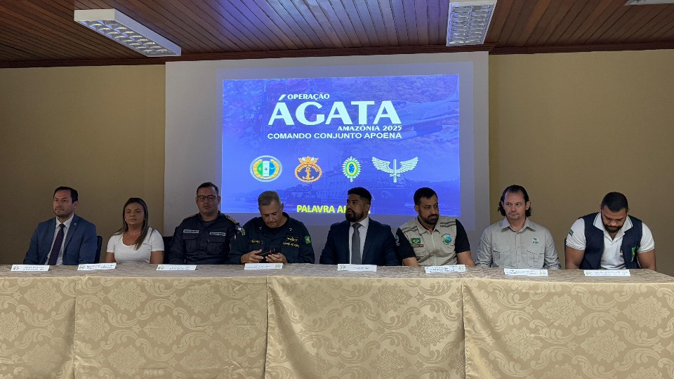 Notícia Relacionada