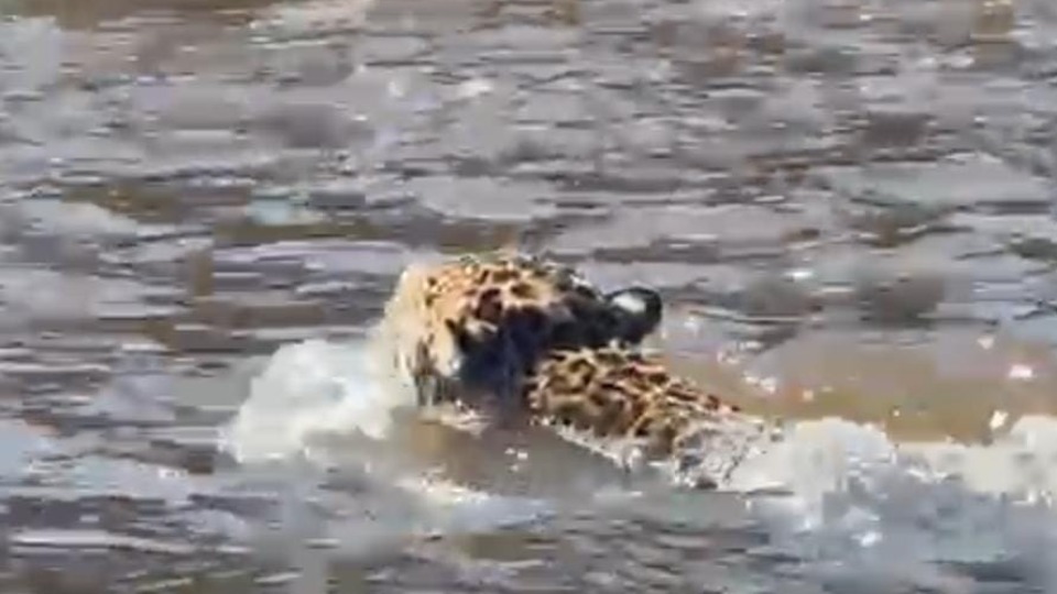 Imagem Últimas Notícias