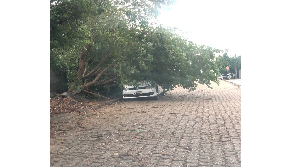 Notícia Relacionada