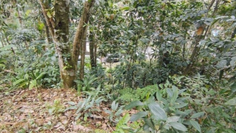 Notícia Relacionada