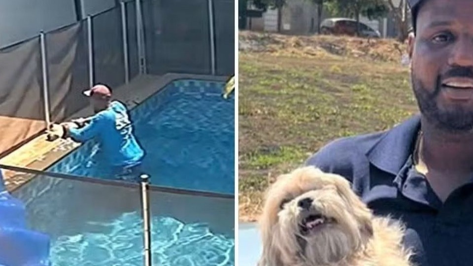 Imagem Últimas Notícias