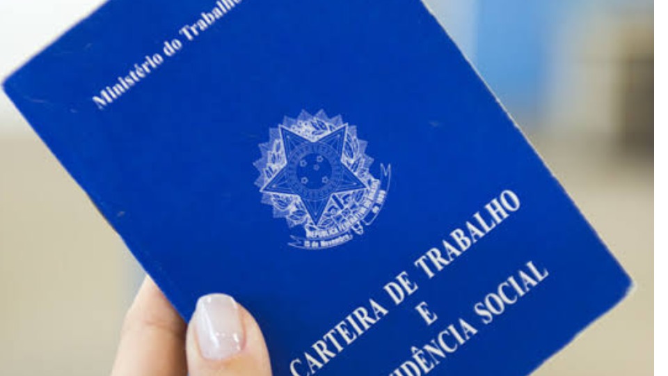 Notícia Relacionada