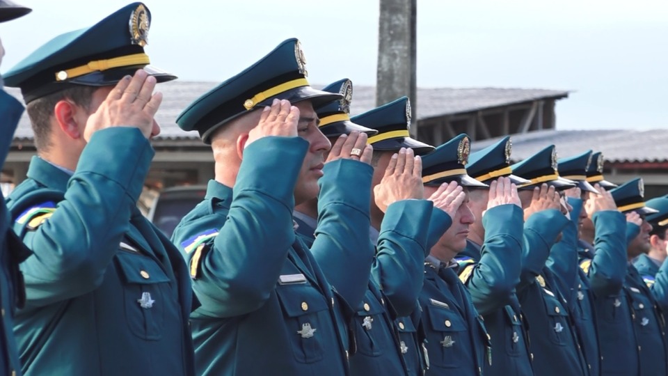 Notícia Relacionada