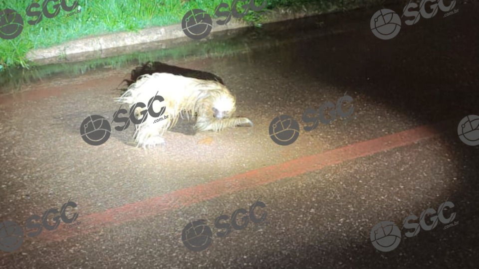 Imagem Últimas Notícias