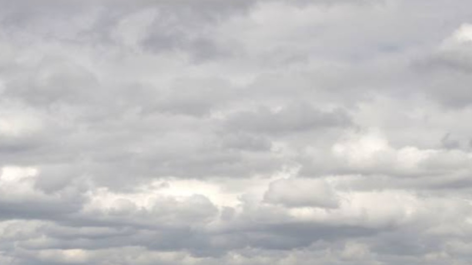 Notícia Relacionada