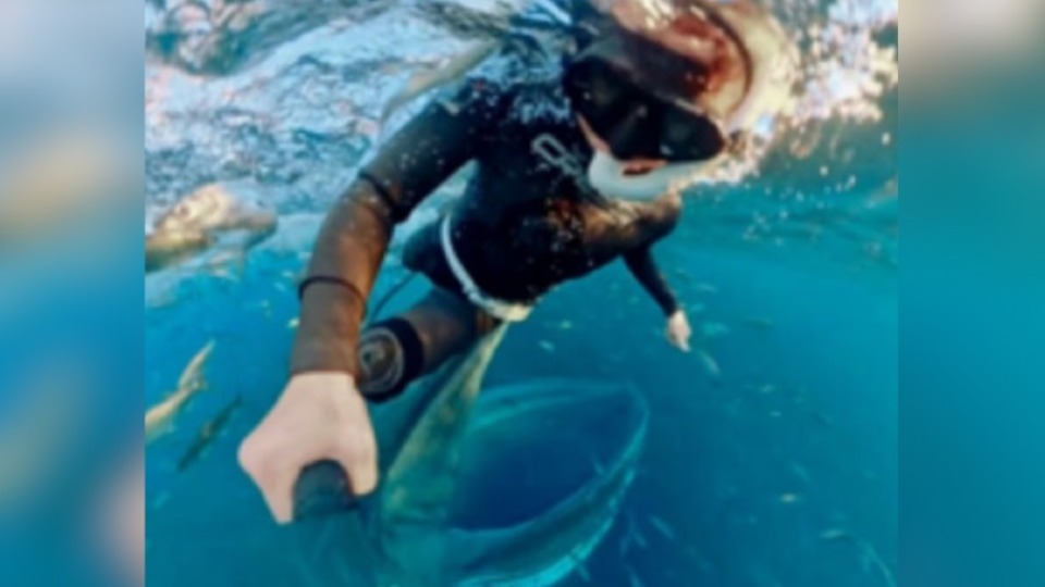 Imagem Últimas Notícias