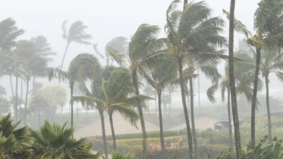 Imagem Últimas Notícias