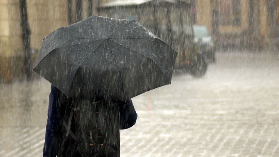 Notícia Relacionada