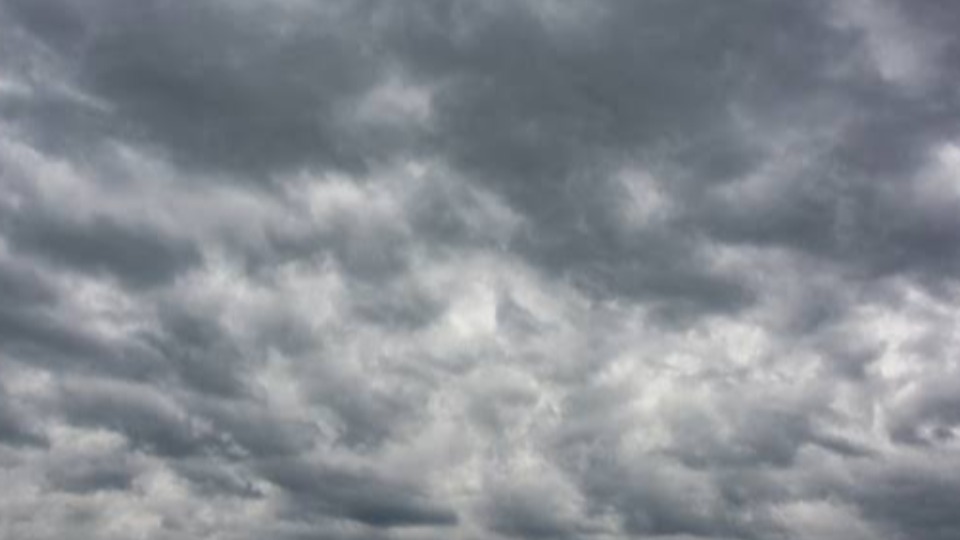 Notícia Relacionada