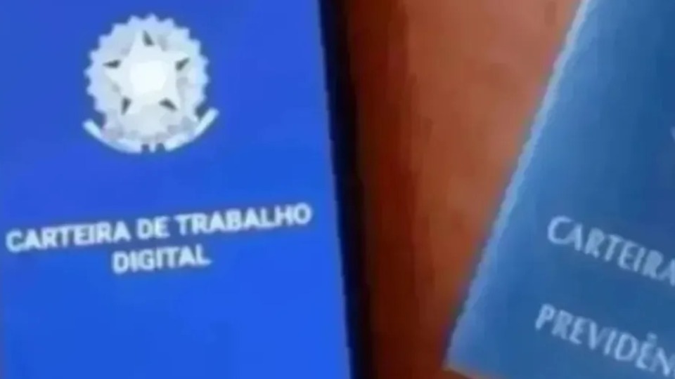 Notícia Relacionada