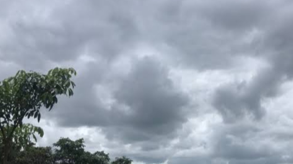 Notícia Relacionada