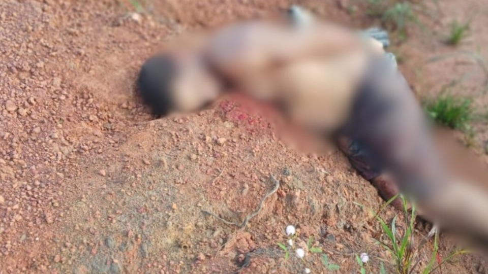 Imagem Últimas Notícias