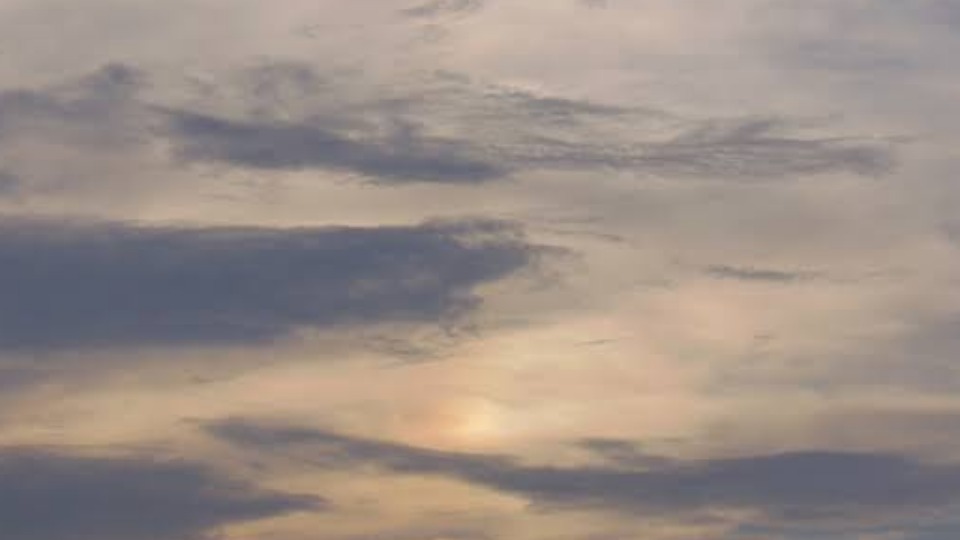 Notícia Relacionada