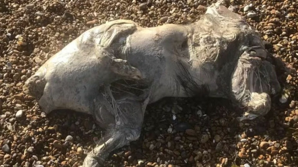 Imagem Últimas Notícias