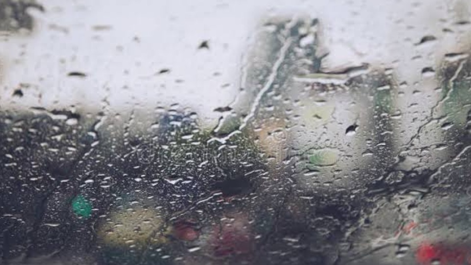 Notícia Relacionada