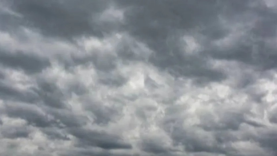 Notícia Relacionada