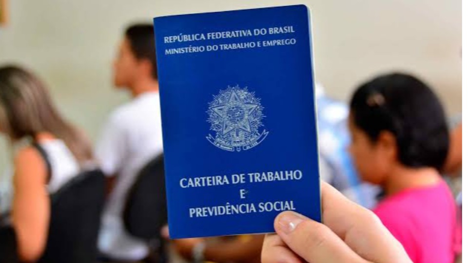 Notícia Relacionada