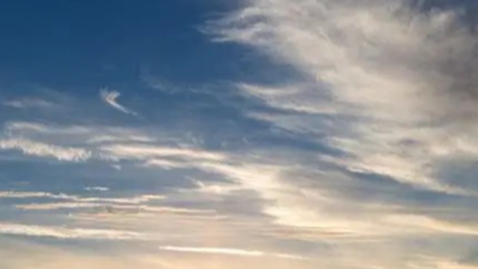 Notícia Relacionada