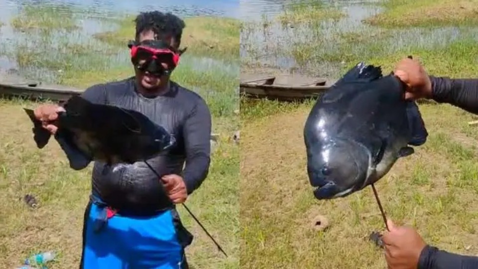 Imagem Últimas Notícias