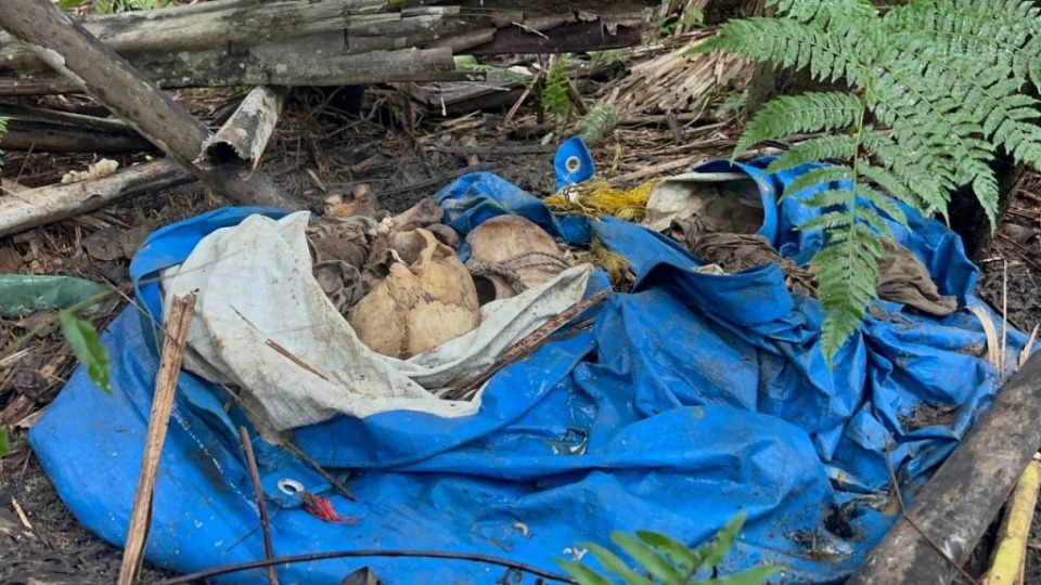 Imagem Últimas Notícias