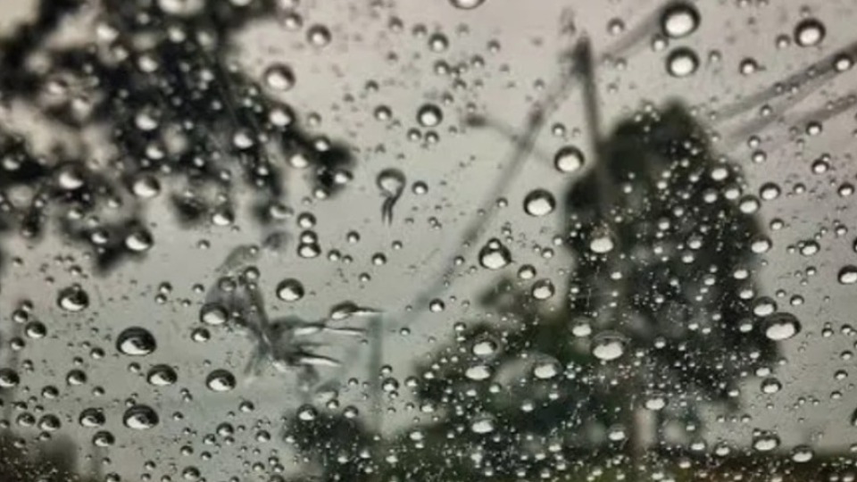 Notícia Relacionada