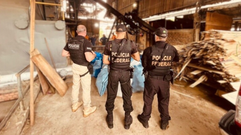 Notícia Relacionada