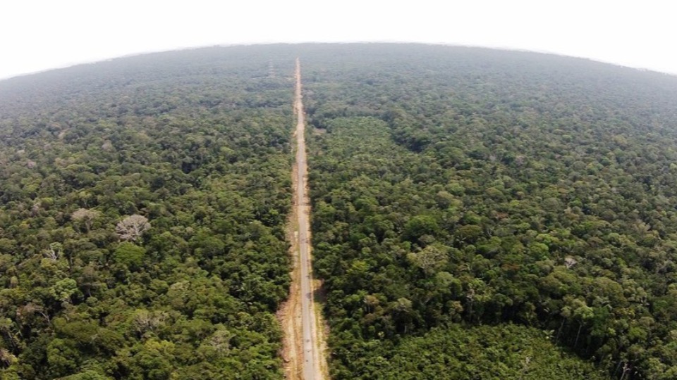 Rodovia corta a Floresta Amazônica