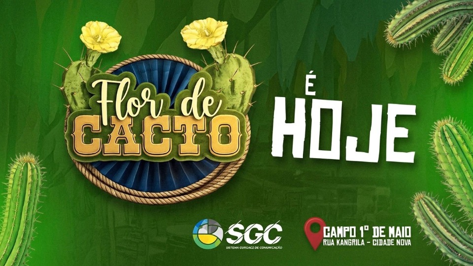 Notícia Relacionada
