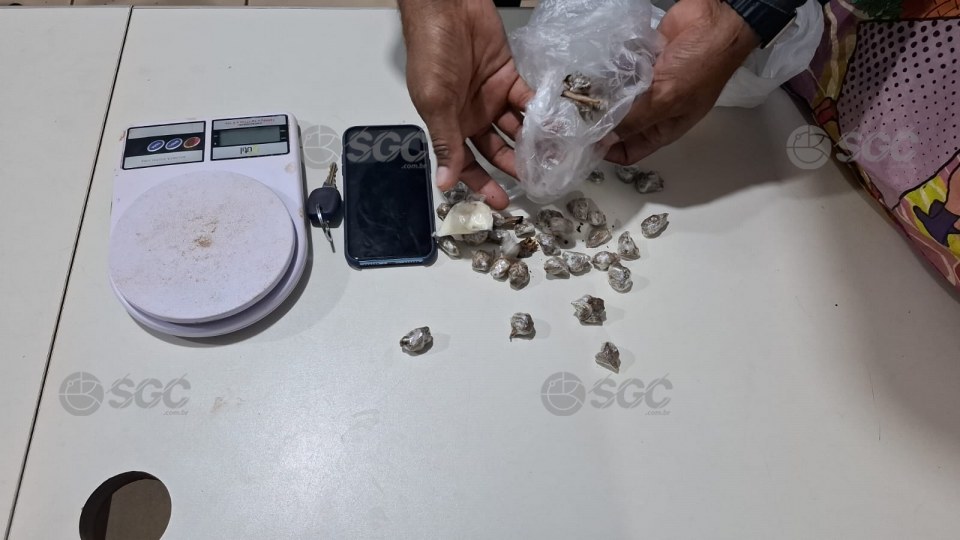 Imagem da Galeria