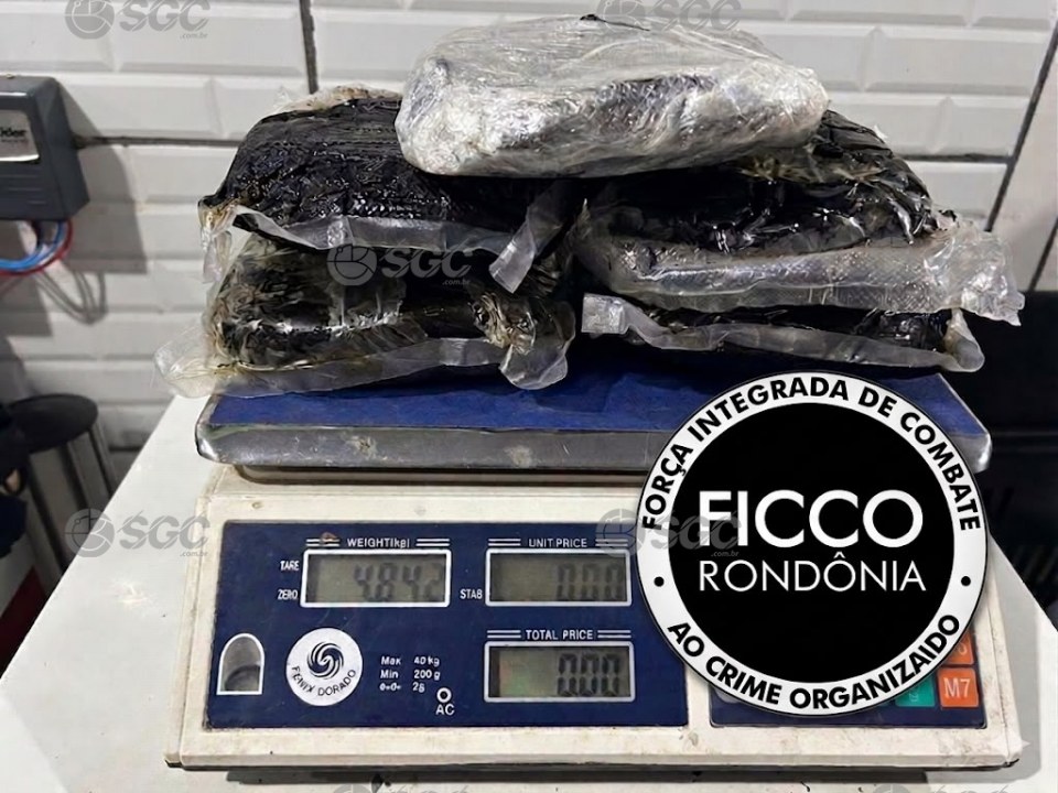 Notícia Relacionada