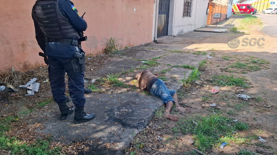 Imagem da Galeria
