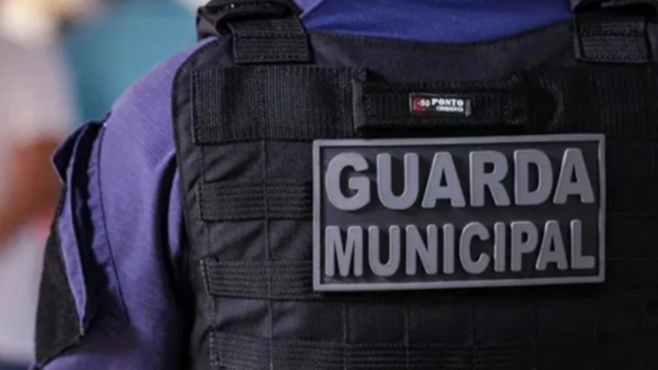 Notícia Relacionada
