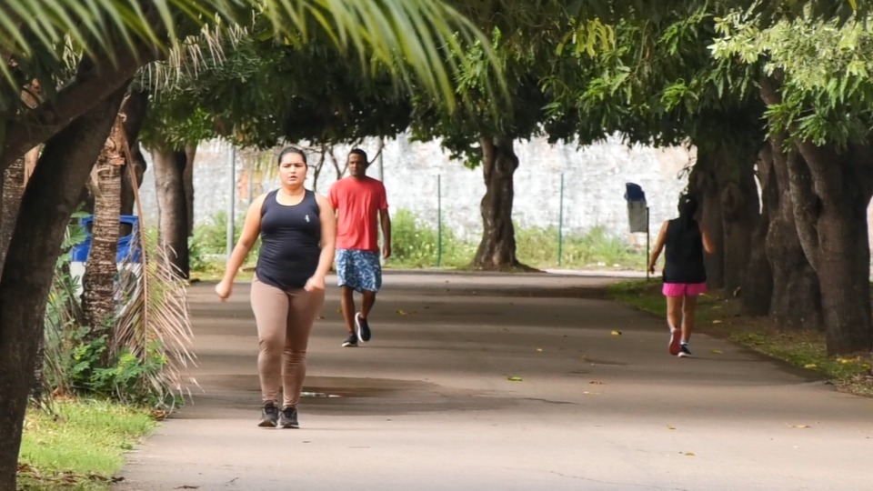 Notícia Relacionada