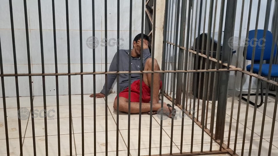 Imagem da Galeria