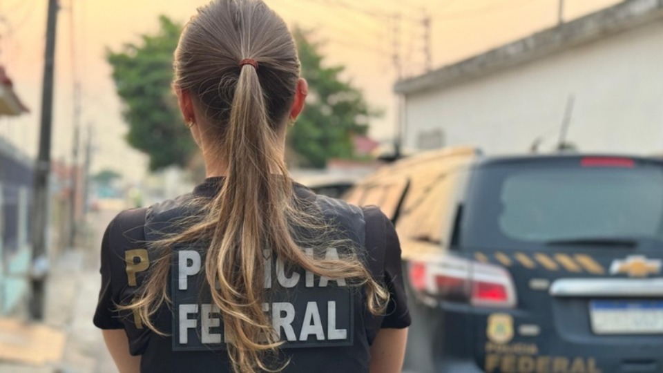 Notícia Relacionada